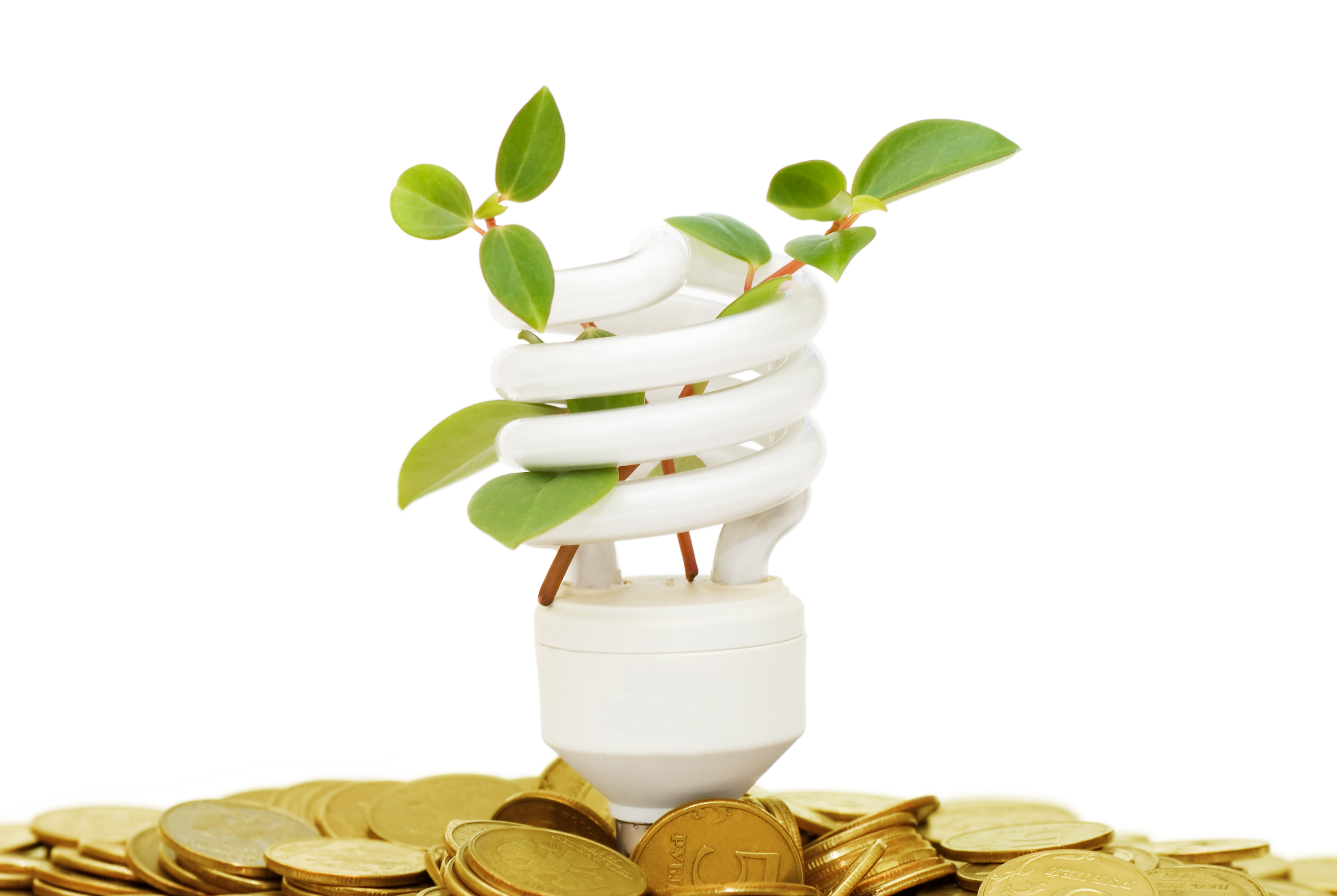 energy saving lamp on money shutterstock_55840765