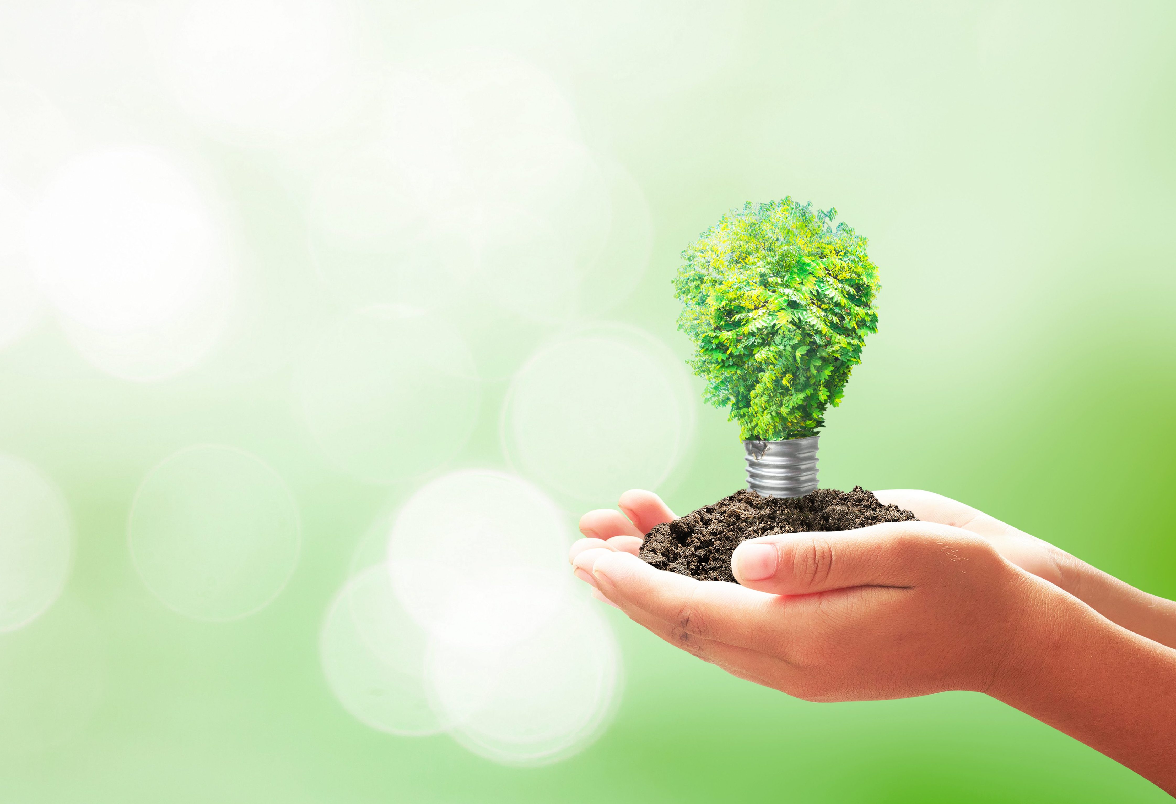 going green – hands holding plant shaped lightbulb – shutterstock_375922291